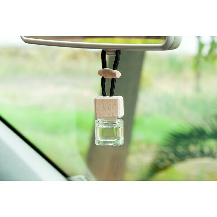 Ambientador de coche para colgar (Naranja)