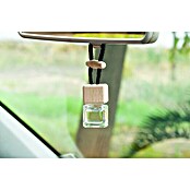 Ambientador de coche para colgar (Naranja)