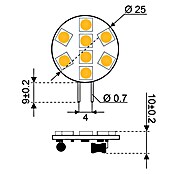 Talamex Led-plaatje voor boten (1,2 W, 10 V - 30 V, Lichtkleur: Warm wit, A+)