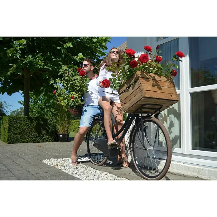 Piardino Edelrose Duftfestival - Rosa Hybride, Blütenfarbe: Rot - Ein Paar sitzt auf einem Fahrrad mit einem Holzkasten voller roter Rosen auf dem Gepäckträger, eine charmante Gartendekoration.