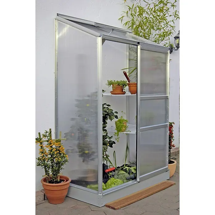Vitavia Gewächshaus Styx 900 - Außenmaß inkl. Dachüberstand (B x T): 130,6 x 69 cm, 4 mm, Aluminium - Nahaufnahme eines Gewächshauses mit Pflanzen auf Regalen, das die Gartenarbeit hervorhebt.
