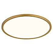 Globo LED-Deckenleuchte Sapana (24 W, Messingfarben, Weiß, Warmweiß, Ø x H: 420 x 28 mm) | BAUHAUS