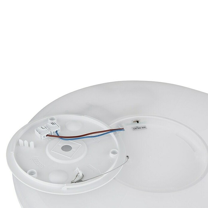 Globo LED-Deckenleuchte Sapana (24 W, Messingfarben, Weiß, Warmweiß, Ø x H: 420 x 28 mm) | BAUHAUS