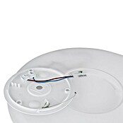 Globo LED-Deckenleuchte Sapana (24 W, Messingfarben, Weiß, Warmweiß, Ø x H: 420 x 28 mm) | BAUHAUS