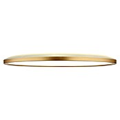 Globo LED-Deckenleuchte Sapana (24 W, Messingfarben, Weiß, Warmweiß, Ø x H: 420 x 28 mm) | BAUHAUS