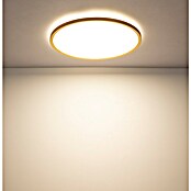Globo LED-Deckenleuchte Sapana (24 W, Messingfarben, Weiß, Warmweiß, Ø x H: 420 x 28 mm) | BAUHAUS