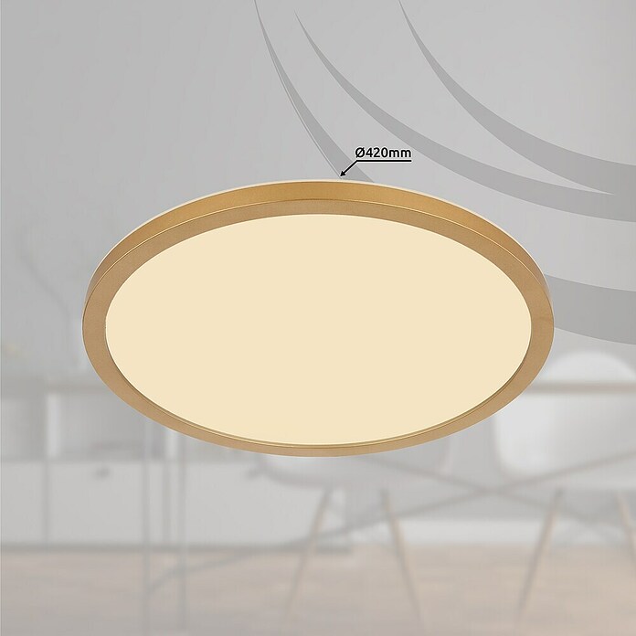 Globo LED-Deckenleuchte Sapana (24 W, Messingfarben, Weiß, Warmweiß, Ø x H: 420 x 28 mm) | BAUHAUS