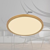 Globo LED-Deckenleuchte Sapana (24 W, Messingfarben, Weiß, Warmweiß, Ø x H: 420 x 28 mm) | BAUHAUS
