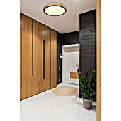 Globo Okrugla stropna LED svjetiljka Bruno  (12 W, Ø x V: 307 x 90 mm, Boja kućišta: Smeđa) | BAUHAUS