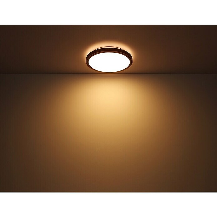 Globo Okrugla stropna LED svjetiljka Bruno  (12 W, Ø x V: 307 x 90 mm, Boja kućišta: Smeđa) | BAUHAUS