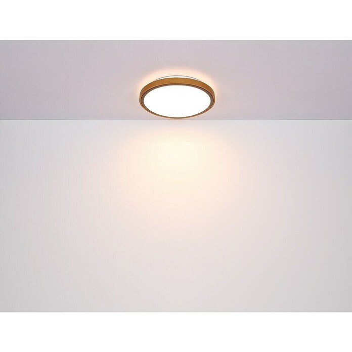 Globo Okrugla stropna LED svjetiljka Bruno  (12 W, Ø x V: 307 x 90 mm, Boja kućišta: Smeđa) | BAUHAUS