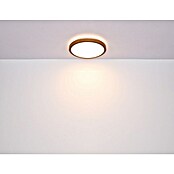 Globo Okrugla stropna LED svjetiljka Bruno  (12 W, Ø x V: 307 x 90 mm, Boja kućišta: Smeđa) | BAUHAUS