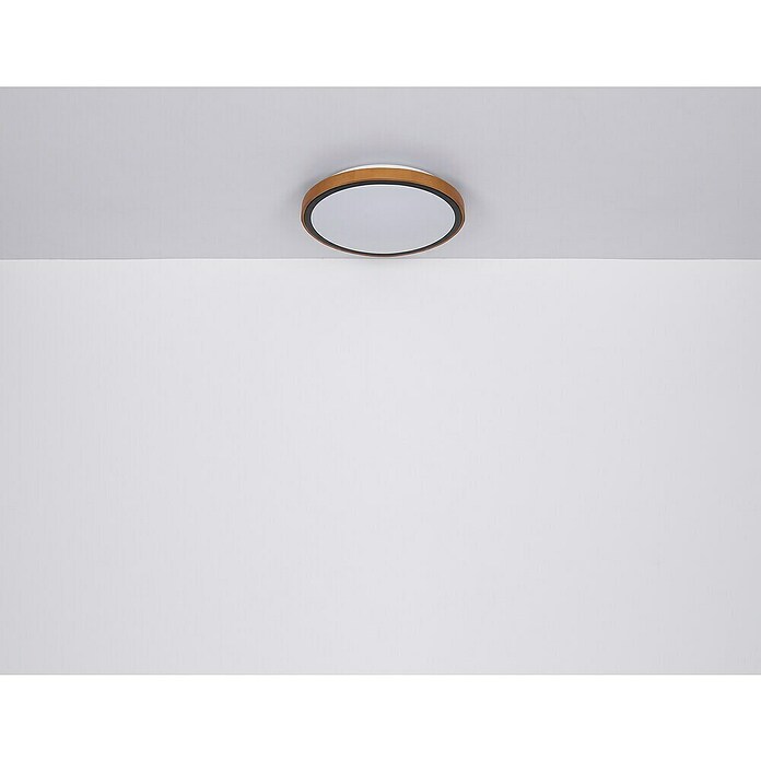 Globo Okrugla stropna LED svjetiljka Bruno  (12 W, Ø x V: 307 x 90 mm, Boja kućišta: Smeđa) | BAUHAUS