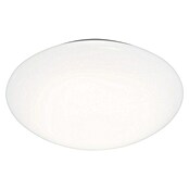 Ferotehna LED okrogla stropna svetilka  (12 W, Ø x V: 26 x 6,5 cm, Bela, IP20) | 3016 - Deckenleuchte | CACB - Deckenleuchten | CAC - Indoorleuchten | CA - Beleuchtung | C - Elektro | BAUHAUS