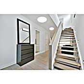 Ferotehna LED okrogla stropna svetilka  (12 W, Ø x V: 26 x 6,5 cm, Bela, IP20) | 3016 - Deckenleuchte | CACB - Deckenleuchten | CAC - Indoorleuchten | CA - Beleuchtung | C - Elektro | BAUHAUS