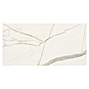 Cersanit Zidna pločica Exclusive Marble  (60 x 120 cm, Boja mramora) | BAUHAUS