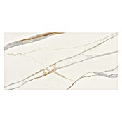 Cersanit Zidna pločica Exclusive Marble  (60 x 120 cm, Boja mramora) | BAUHAUS