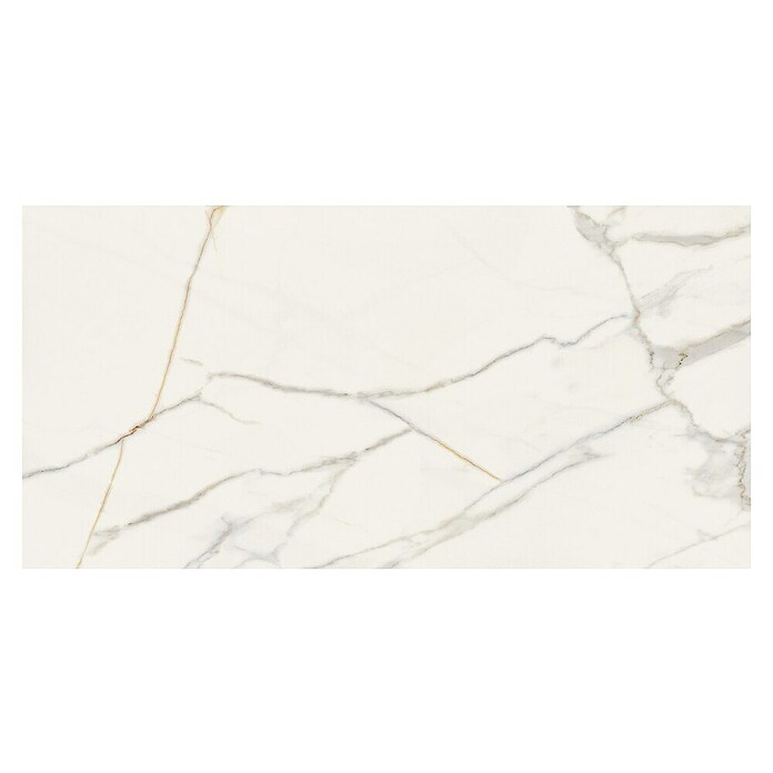 Cersanit Zidna pločica Exclusive Marble  (60 x 120 cm, Boja mramora) | BAUHAUS