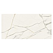 Cersanit Zidna pločica Exclusive Marble  (60 x 120 cm, Boja mramora) | BAUHAUS