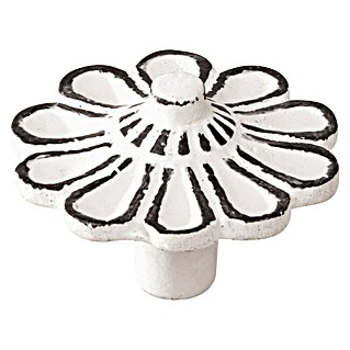 Nesu Pomo para muebles 562BL (Ø x Al: 47 x 32 mm, Acero)