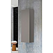 Armario alto Universal (L x An x Al: 25 x 25 x 110 cm, Gris) | BAUHAUS
