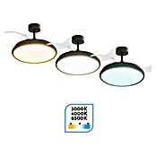 Arte confort Ventilador de techo Ruvik M (Negro, 107 cm, 25,5 W, Blanco cálido) | BAUHAUS