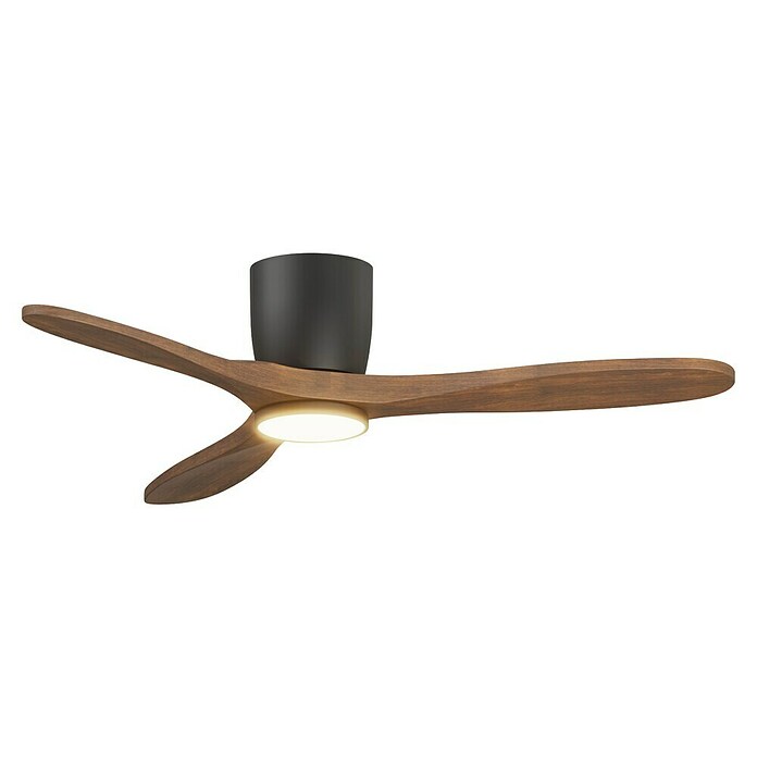 Arte confort Ventilador de techo Dasko (Negro, 132 cm, 33 W, Blanco cálido) | BAUHAUS