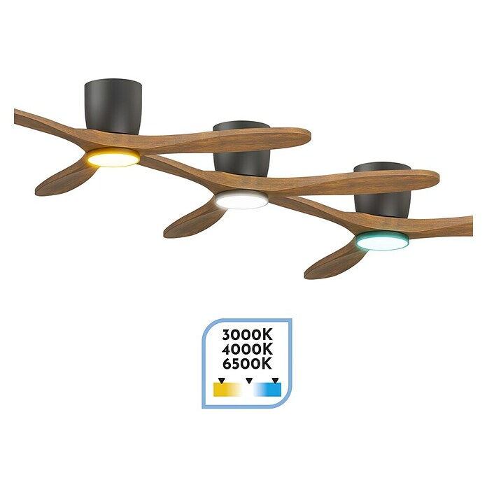 Arte confort Ventilador de techo Dasko (Negro, 132 cm, 33 W, Blanco cálido) | BAUHAUS