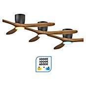 Arte confort Ventilador de techo Dasko (Negro, 132 cm, 33 W, Blanco cálido) | BAUHAUS