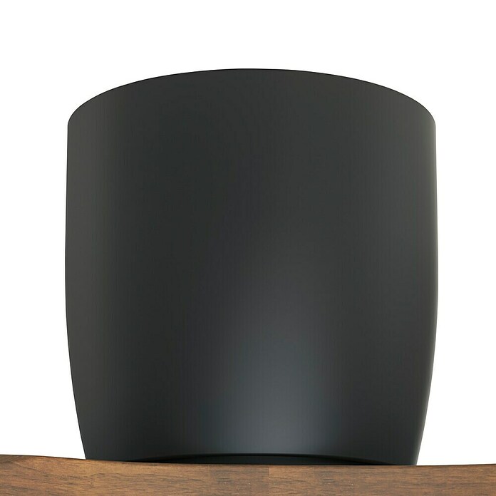 Arte confort Ventilador de techo Dasko (Negro, 132 cm, 33 W, Blanco cálido) | BAUHAUS