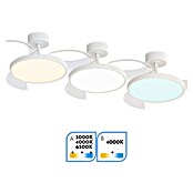 Arte confort Ventilador de techo Vetra S (Blanco, 91 cm, 30 W, Blanco cálido) | BAUHAUS