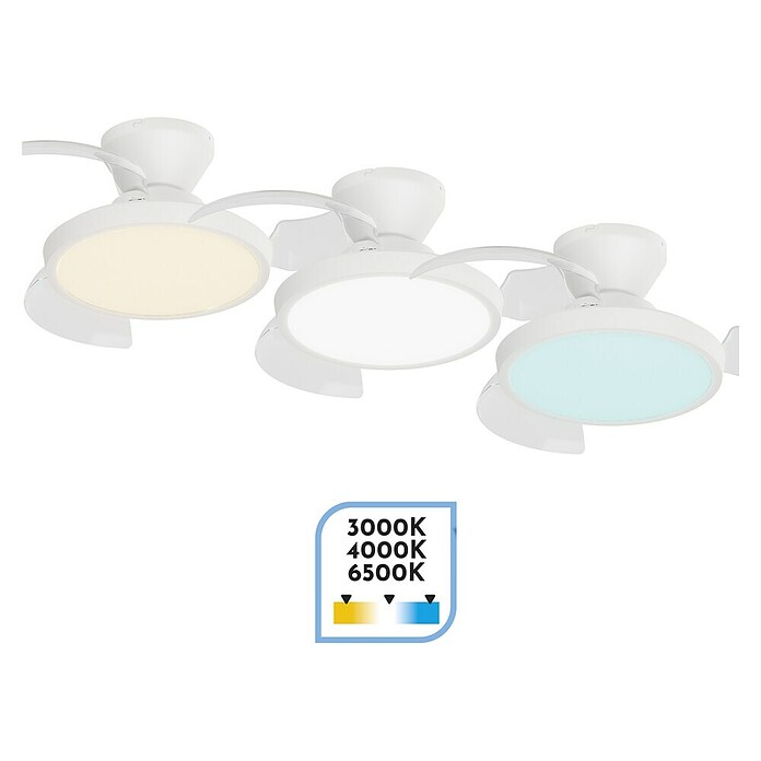 Arte confort Ventilador de techo Nuna XS (Blanco, 71 cm, 30 W, Blanco cálido) | BAUHAUS