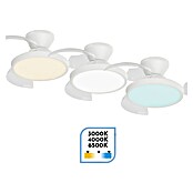 Arte confort Ventilador de techo Nuna XS (Blanco, 71 cm, 30 W, Blanco cálido) | BAUHAUS