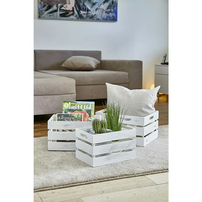 Zeller Present Caja de madera - L x An x Al: 31 x 21 x 18,7 cm, Blanco - Cajas decorativas de madera blanca con plantas y revistas sobre una alfombra frente a un sofá.