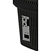 AEG Nevera de camping BK 6 (Capacidad volumétrica: 6 l, 2 soportes para bebidas, Negro) | BAUHAUS
