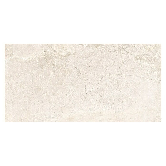 Halcón Pavimento porcelánico Tempo (60 x 120 cm, Cotton, Brillante, Espesor: 9 mm) | BAUHAUS