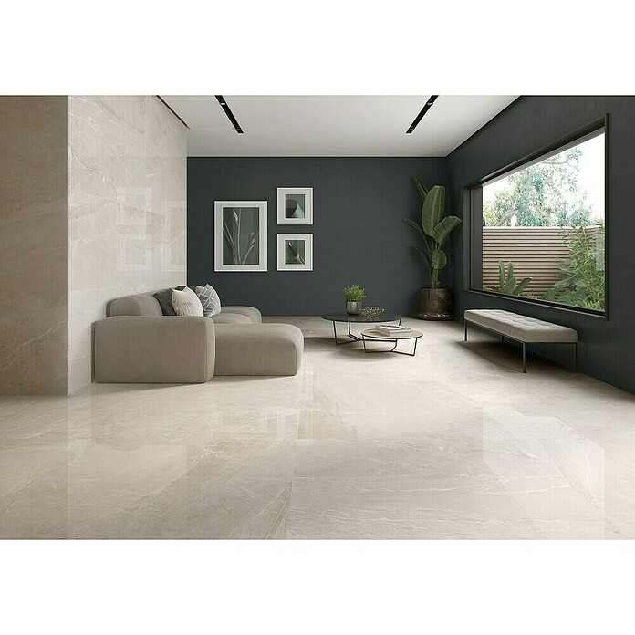 Halcón Pavimento porcelánico Tempo (60 x 120 cm, Cotton, Brillante, Espesor: 9 mm) | BAUHAUS