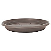 Podstavek za lonec za rastline Jadran  (Plastika, Mocca, 40 cm) | 8444 - Kunststoff Pflanzgefäße | IAKB - Gefäße Outdoor | IAK - Gefässe,Deko outdoor, Zeitschriften | IA - Gartenhartware | I - Stadtgarten | BAUHAUS
