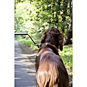 Dobar Hundeleine Walky Dog Plus (37,5 cm)