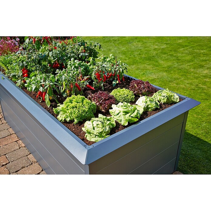 Gardol Hochbeet mit Schneckenkante (L x B x H: 200 x 100 x 76 cm, Stahlblech, Anthrazit)