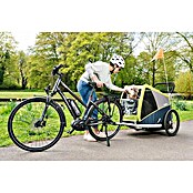 Croozer Hundeanhänger Dog Jokke (Traglast: 45 kg, Farbe: Grasshopper green)