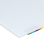 Vetronova Placa de vidrioplástico Lisa (100 cm x 50 cm x 5 mm, Poliestireno, Blanco)