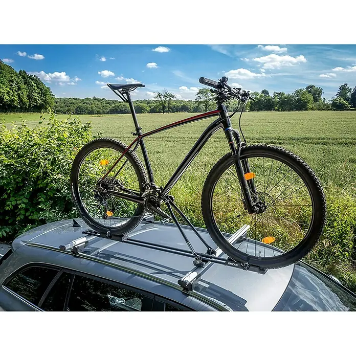 Eufab Fahrradträgeraufsatz Super Bike - Geeignet für: 1 Fahrrad, Traglast: 15 kg - Ein schwarzes Mountainbike, das auf einem grauen Auto-Dachträger montiert ist, vor einer ländlichen Kulisse mit Büschen und Feldern.