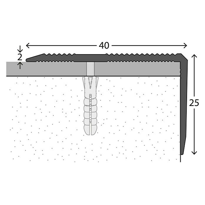LOGOCLIC Treppenkantenprofil 293 (Sahara, 1 m x 40 mm x 25 mm, Montageart: Schrauben)