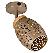 Reality Leuchten Bidar Wandlamp Bidar (Koffie, E14, Diameter: 12 cm) | BAUHAUS
