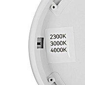 Trio Lighting Plafondlamp, rond Draco (18 W, Ø x h: 23 cm x 26 mm, Wit) | BAUHAUS