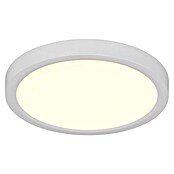 Trio Lighting Plafondlamp, rond Draco (18 W, Ø x h: 23 cm x 26 mm, Wit) | BAUHAUS