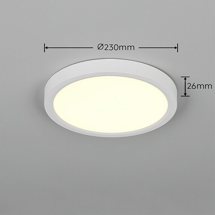 Trio Lighting Plafondlamp, rond Draco (18 W, Ø x h: 23 cm x 26 mm, Wit) | BAUHAUS