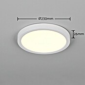 Trio Lighting Plafondlamp, rond Draco (18 W, Ø x h: 23 cm x 26 mm, Wit) | BAUHAUS