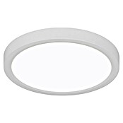 Trio Lighting Plafondlamp, rond Draco (18 W, Ø x h: 23 cm x 26 mm, Wit) | BAUHAUS